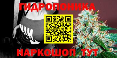 mdpv Брянск