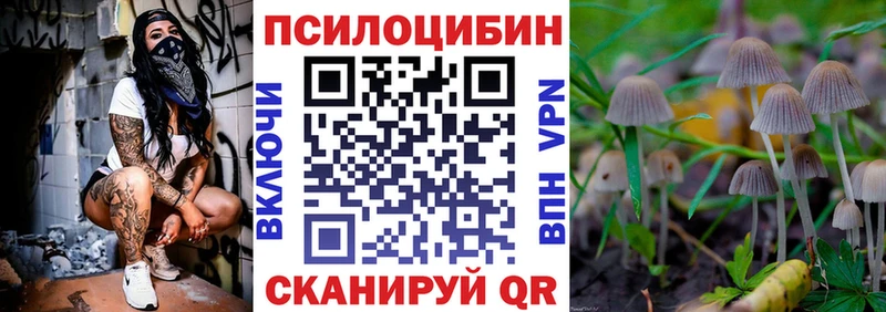 ОМГ ОМГ ссылка  Тутаев  Псилоцибиновые грибы Cubensis 