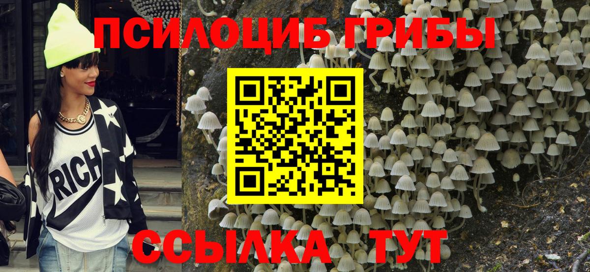 Галлюциногенные грибы ЛСД Тутаев