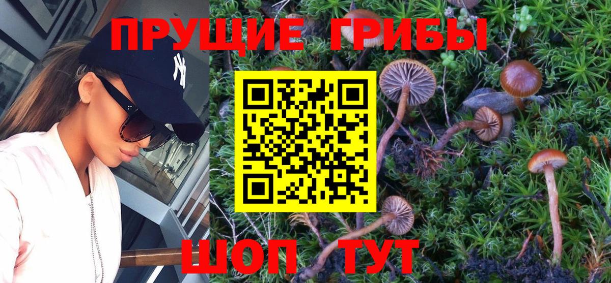 Псилоцибиновые грибы MAGIC MUSHROOMS  Вход с VPN  Тутаев  Галлюциногенные грибы MAGIC MUSHROOMS 