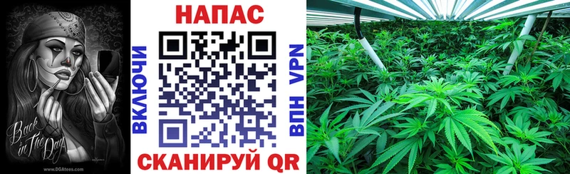 Шишки марихуана LSD WEED  что такое наркотик  Тутаев 